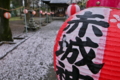 [参道][提灯][花冷え][花散らし][赤城神社]参道