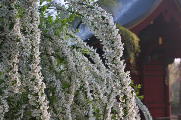 f:id:keihirota:20150423011917j:image