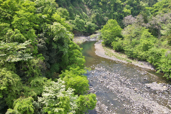 碓氷川