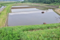 [田んぼ][田園][水田][水張り][代掻き]田んぼ