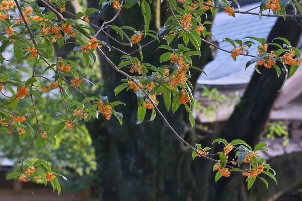 f:id:keihirota:20150925192353j:image
