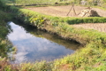 [ため池][貯水池][調整池][田んぼ][田園]ため池