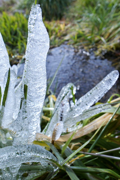 氷柱