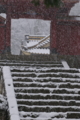 [雪の日][北門][石段][降雪][妙義神社]雪の日