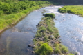 [碓氷川][中瀬大橋][一級河川][利根川水系][釣り場]碓氷川