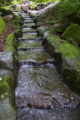 [魚道][水路][堰堤][砂防ダム][矢沢川]魚道