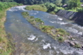 [碓氷川][増水][利根川水系][一級河川][中瀬大橋]碓氷川