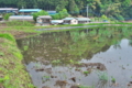 [田んぼ][田園][水田][水鏡][山麓]田んぼ