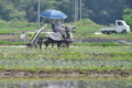 [田んぼ][田園][水田][田植え機][田植え]田んぼ