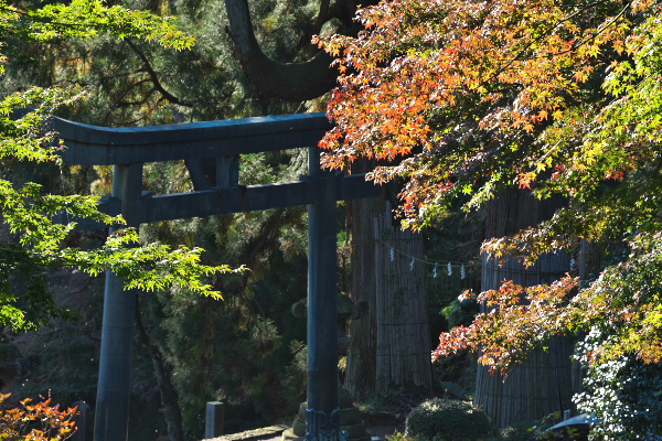 銅鳥居