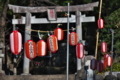 [提灯][鳥居][参道][神社][松井田八幡宮]提灯