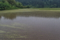 [田んぼ][田園][梅雨入り][入梅][行沢]田んぼ