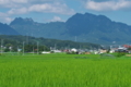 [妙義山][白雲山][金銅山][田んぼ][田園]妙義山