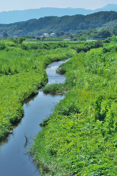 高田川