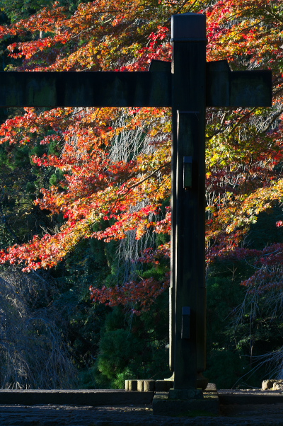 f:id:keihirota:20181110204034j:image
