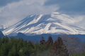 [浅間山][冠雪][雲][冬空][青空]浅間山