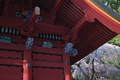 [桜][しだれ桜][シダレザクラ][総門][妙義神社]桜