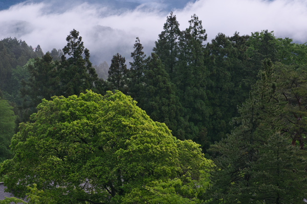 f:id:keihirota:20190520075827j:image