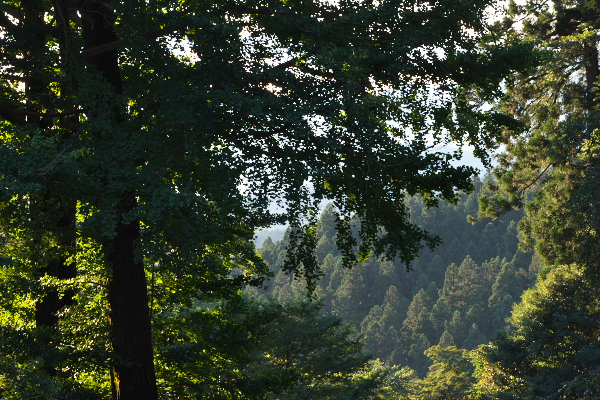 f:id:keihirota:20190903221213j:image
