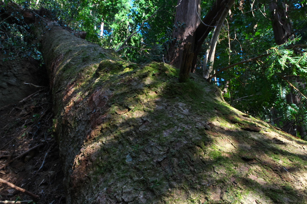f:id:keihirota:20191002213412j:image