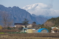 [浅間山][冠雪][妙義山][畑][圃場]浅間山