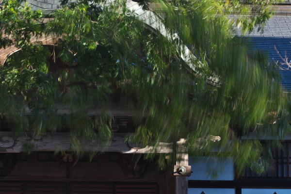f:id:keihirota:20200209210019j:image
