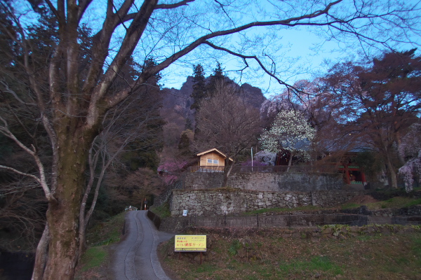 f:id:keihirota:20200307210043j:image