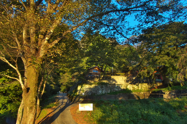 f:id:keihirota:20200307210636j:image