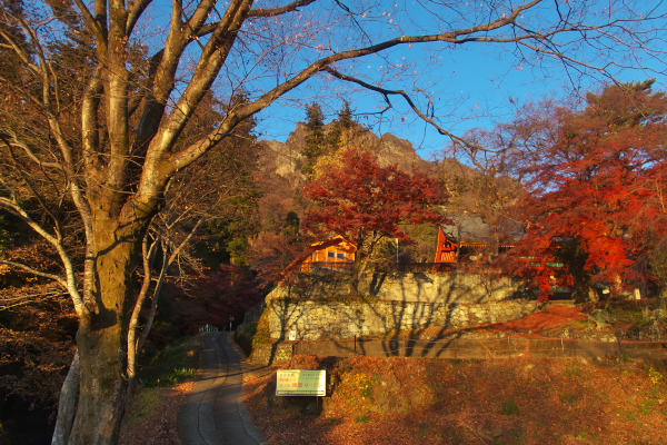 f:id:keihirota:20200307210952j:image
