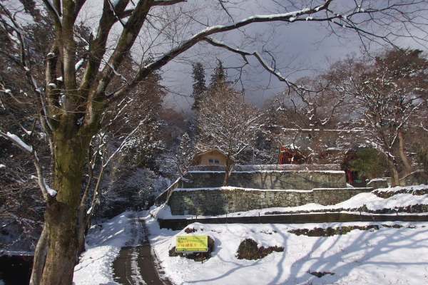 f:id:keihirota:20200307211216j:image