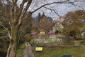 [定点撮影][定点][ハクモクレン][しだれ桜][妙義神社]定点撮影