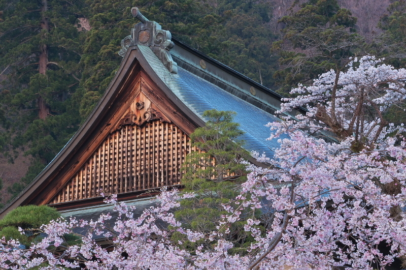 f:id:keihirota:20200404231812j:image