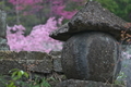 [行楽日和][石塔][桜][サクラ][妙義神社]行楽日和