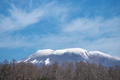 [浅間山][浅間][雪冠][カラマツ][青空]浅間山