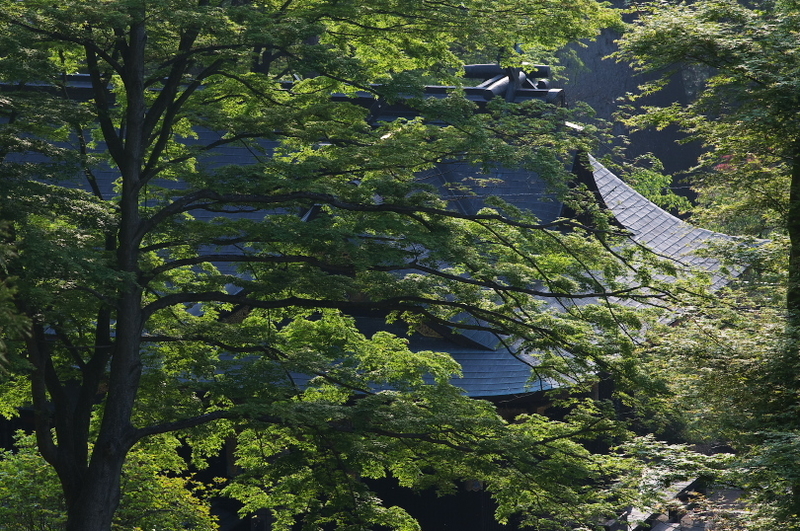 f:id:keihirota:20200501000415j:image