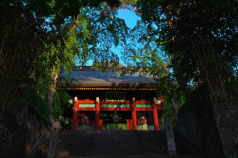 f:id:keihirota:20200509232912j:image