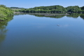 [丹生湖][湖][ダム湖][湖面][青空]丹生湖