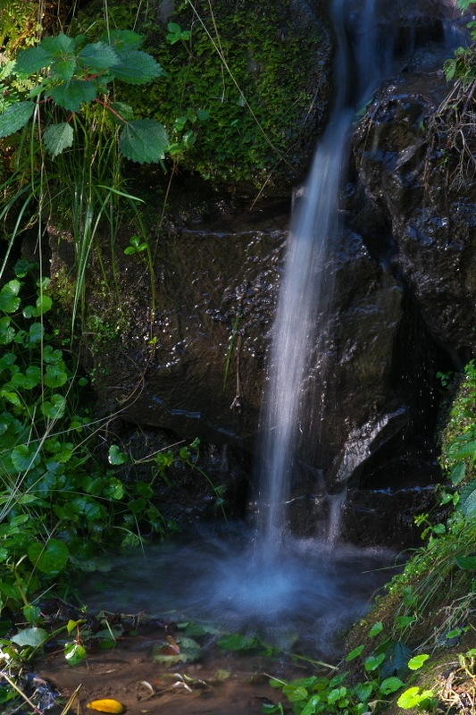 f:id:keihirota:20200617233743j:image