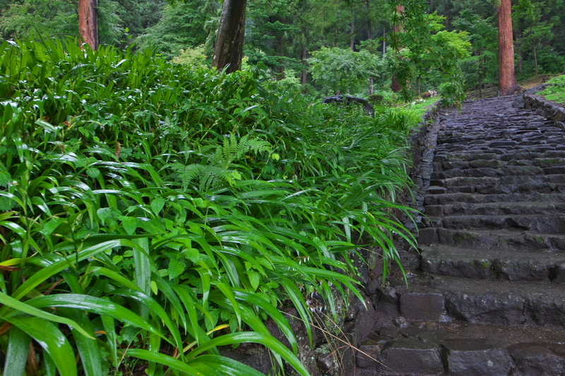 f:id:keihirota:20200627002750j:image