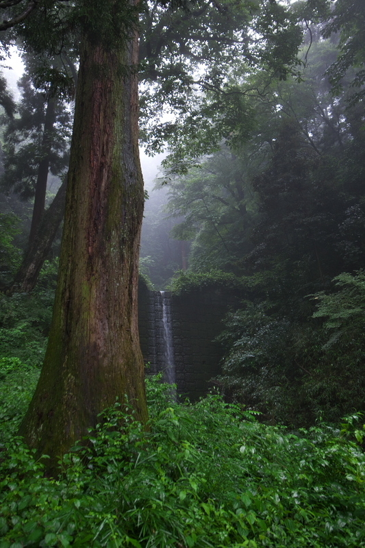 f:id:keihirota:20200715174411j:image