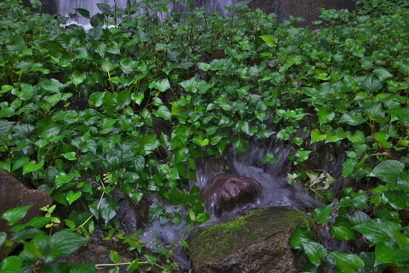 f:id:keihirota:20200715174602j:image