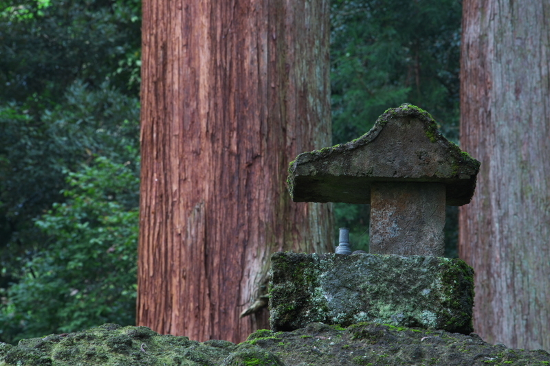 f:id:keihirota:20200902231925j:image