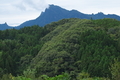 [妙義山][白雲山][筆頭岩][丘陵][笹原]妙義山