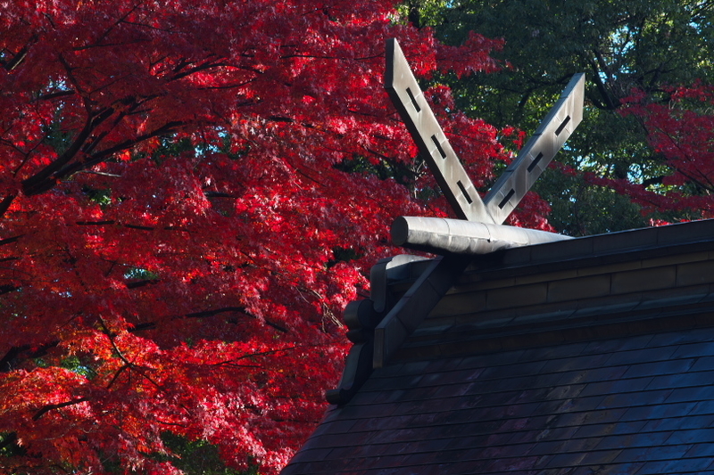 f:id:keihirota:20201111211319j:image