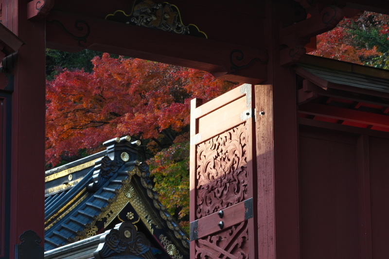 f:id:keihirota:20201111211423j:image