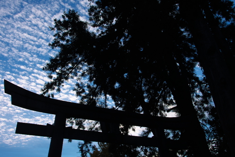 f:id:keihirota:20201121205809j:image