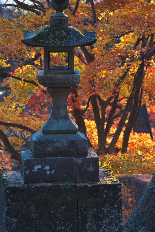 f:id:keihirota:20201201003011j:image