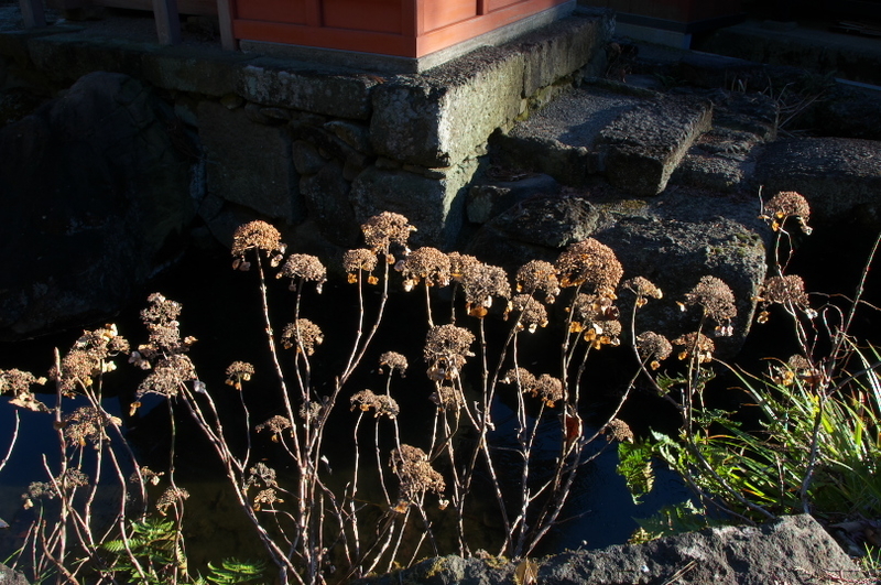 f:id:keihirota:20201219212211j:image