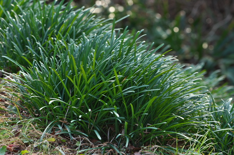 f:id:keihirota:20201225214113j:image