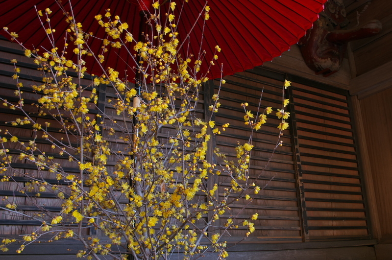 f:id:keihirota:20210106205942j:image